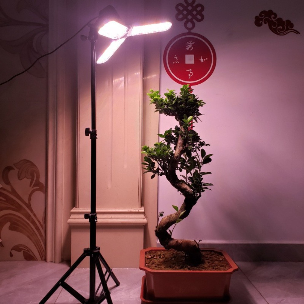 Statif Lampu 2M, Soket AC E27  - Lighting In Photography Studio ulasan dan harga