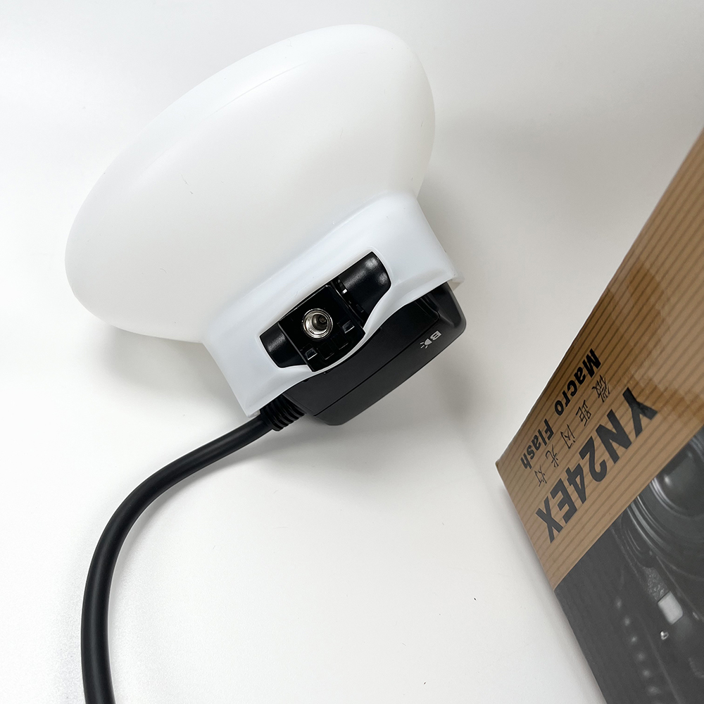 2pcs Softbox Dual Head Flash L - Photography Lighting Godox ulasan dan harga