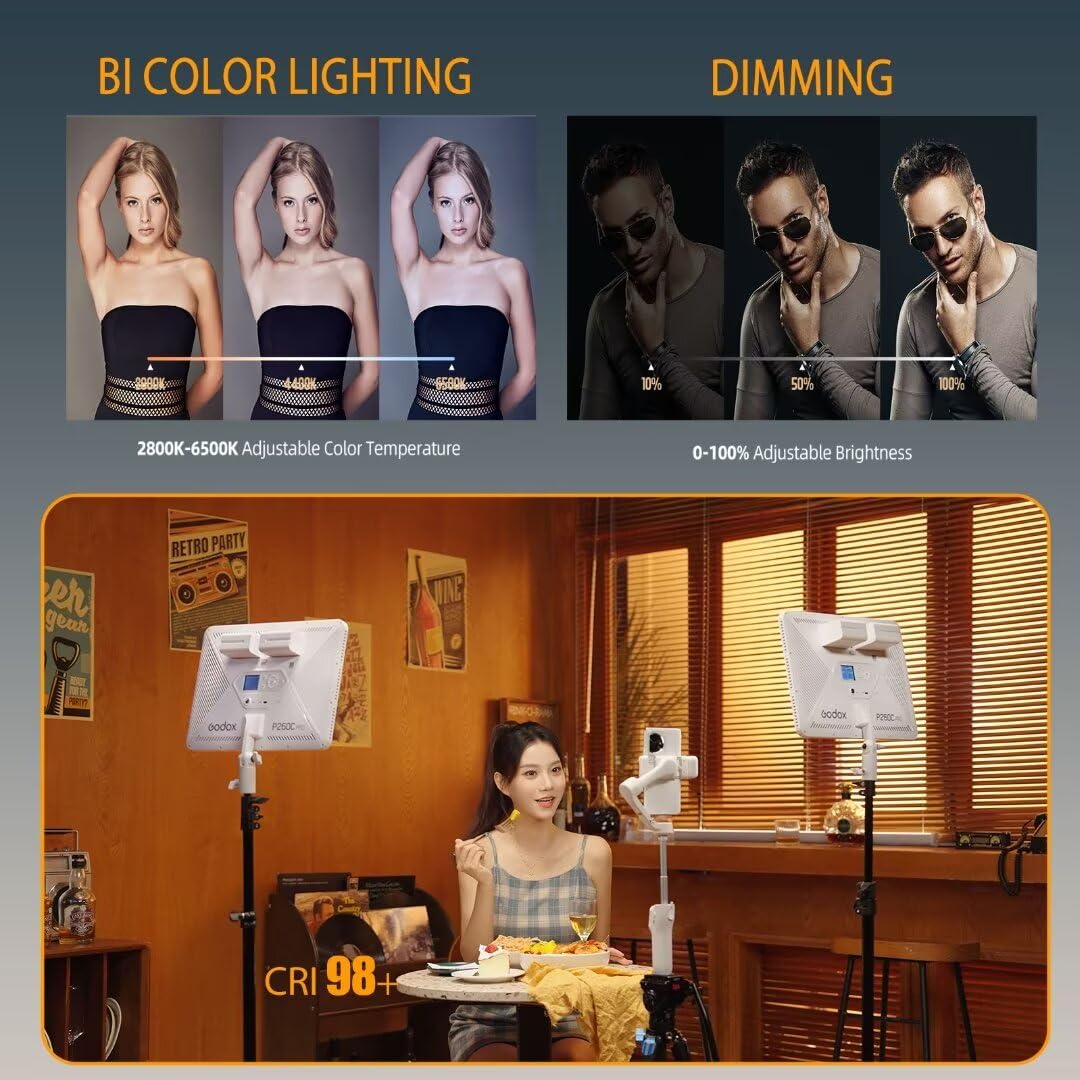 Godox P260C Pro Panel Lampu Vi - Photography Lighting Godox ulasan dan harga