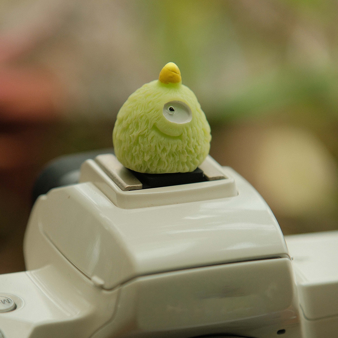 Pelindung Flash Kamera Monster - Fujifilm Camera X100Vi ulasan dan harga